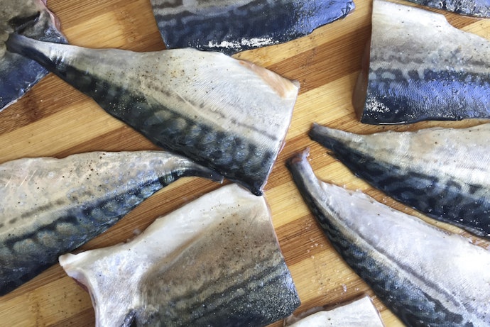 選購冷凍鯖魚的常見問題