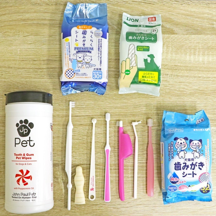 開箱10款人氣貓咪牙刷