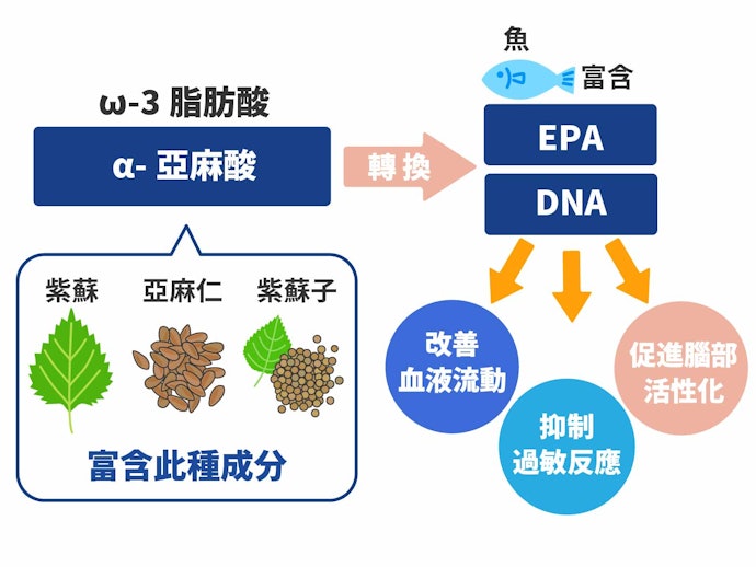 亞麻仁油的營養效果