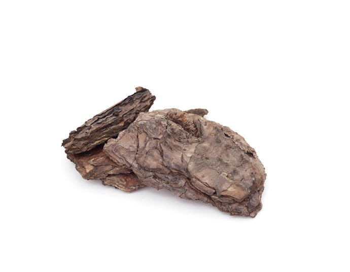 何首烏可幫助強化髮根及頭皮健康!