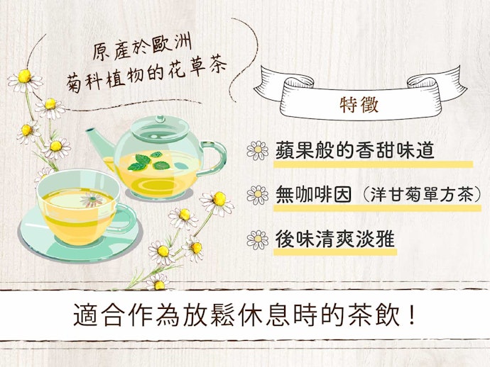 洋甘菊茶的基礎知識