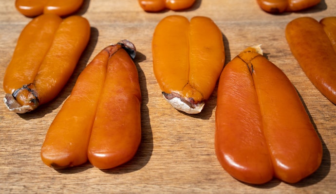 烏魚子為什麼這麼貴?