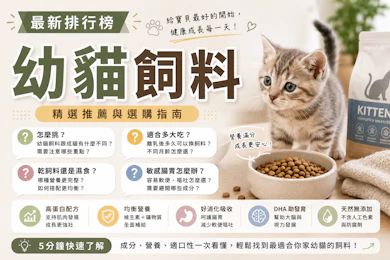 10 大幼貓飼料推薦排行榜【2026最新】