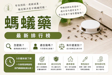 10 大螞蟻藥推薦排行榜【2026最新】