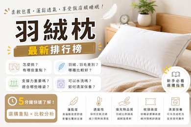 10 大羽絨枕推薦排行榜【2026最新】