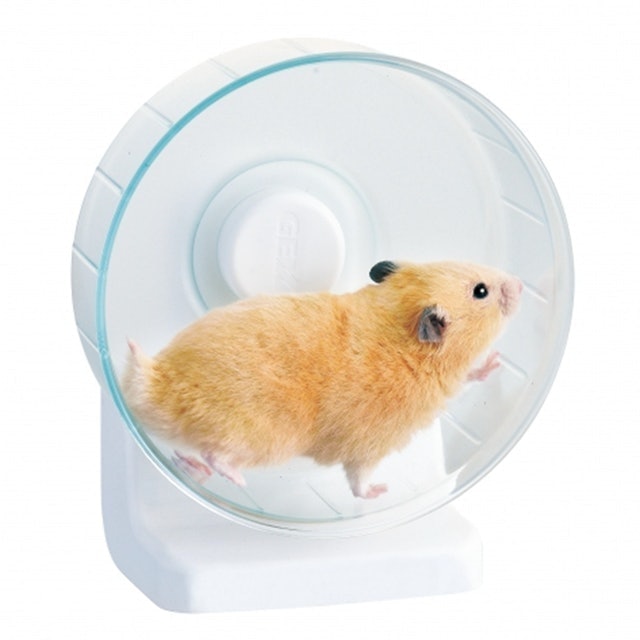 獸醫監製10 大倉鼠滾輪推薦排行榜【2025最新】 | mybest
