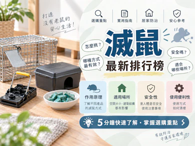 10 大滅鼠推薦排行榜【2026最新】