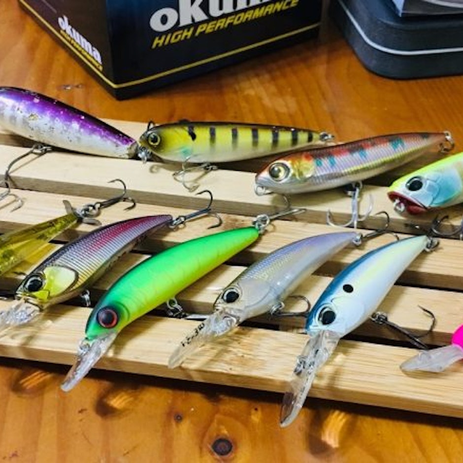 釣具店長推薦8款釣捲仔(何氏棘魞)用路亞新手裝備