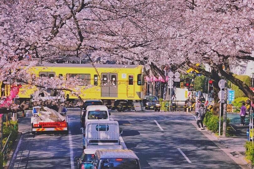 旅遊部落客推薦7款日本打工度假必備用品