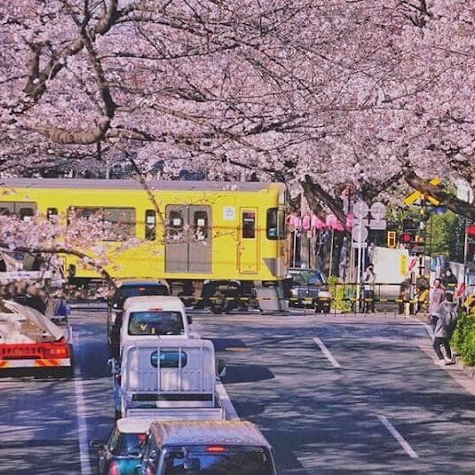 旅遊部落客推薦7款日本打工度假必備用品