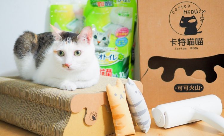 貓咪部落客推薦11款愛用的多貓家庭必備用品