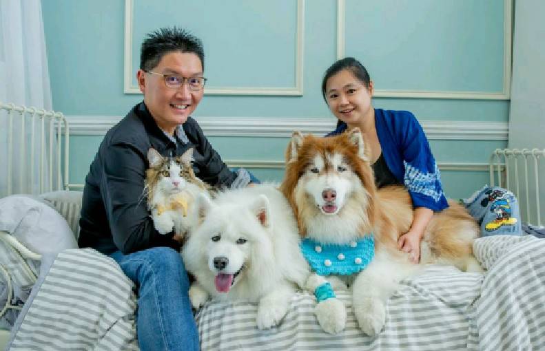 寵物達人推薦8款大型犬適用居家寵物用品		