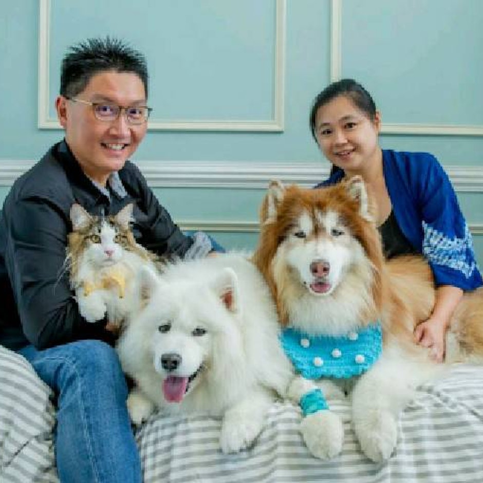 寵物達人推薦8款大型犬適用居家寵物用品