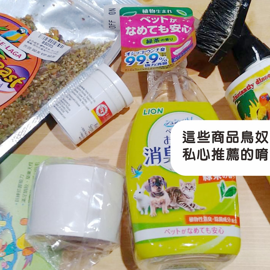 資深鳥奴推薦10款養鳥人必備好物