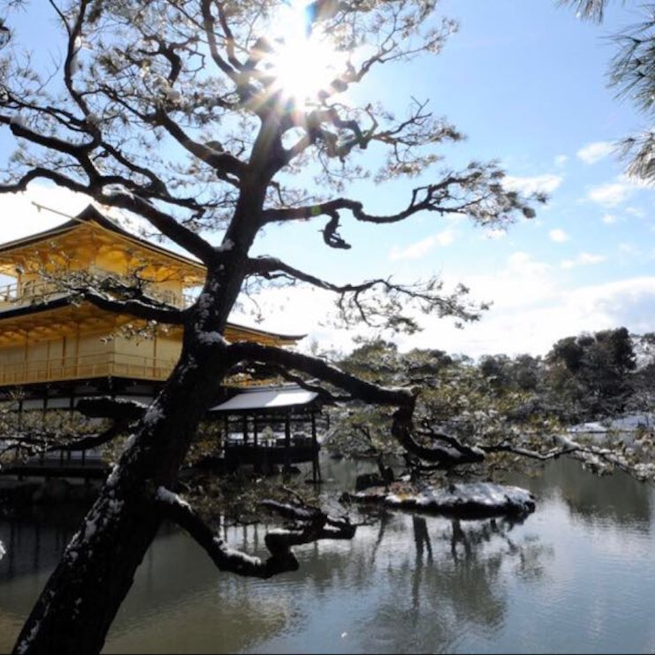 在日部落客推薦8款日本京都地區名產