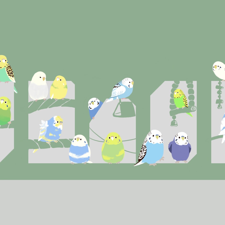 圖文創作家推薦7款繪製鳥類愛用畫具