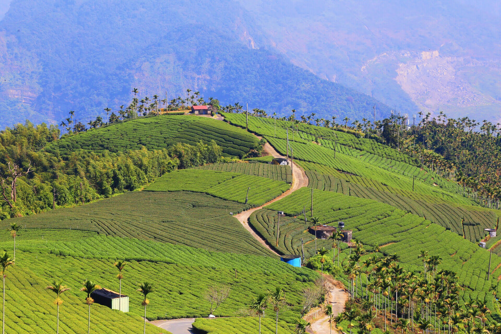 旅遊部落客推薦10款北部名產伴手禮