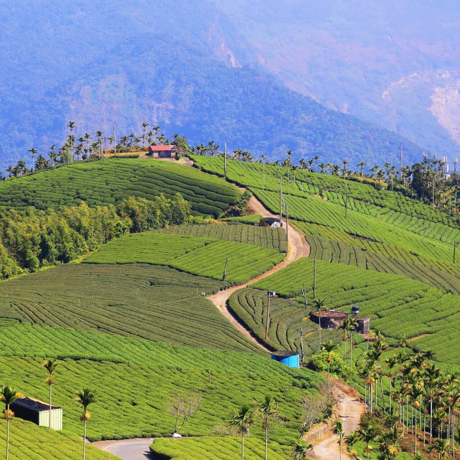 旅遊部落客推薦10款北部名產伴手禮