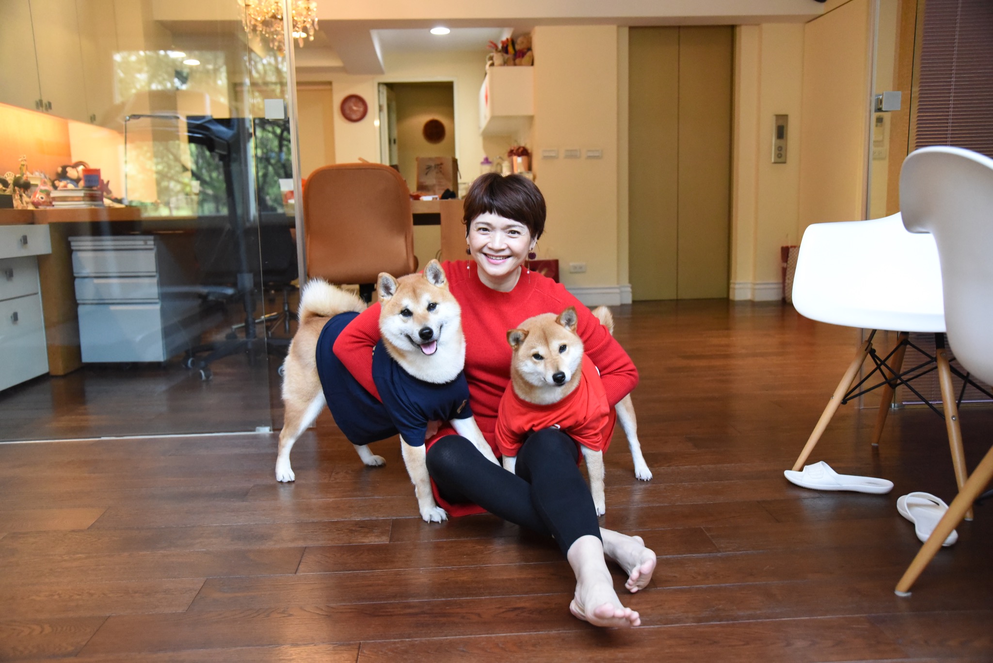 寵物達人推薦6款柴犬飼養新手必備用品		