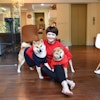 寵物達人推薦6款柴犬飼養新手必備用品