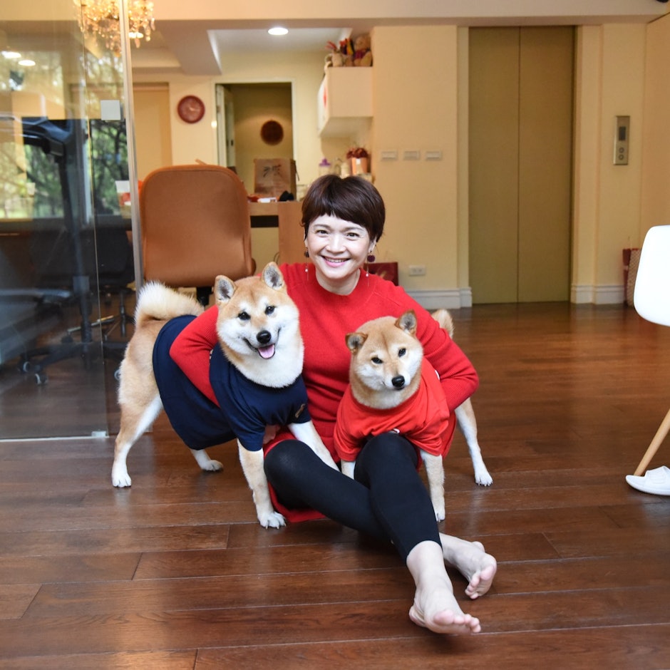 寵物達人推薦6款柴犬飼養新手必備用品