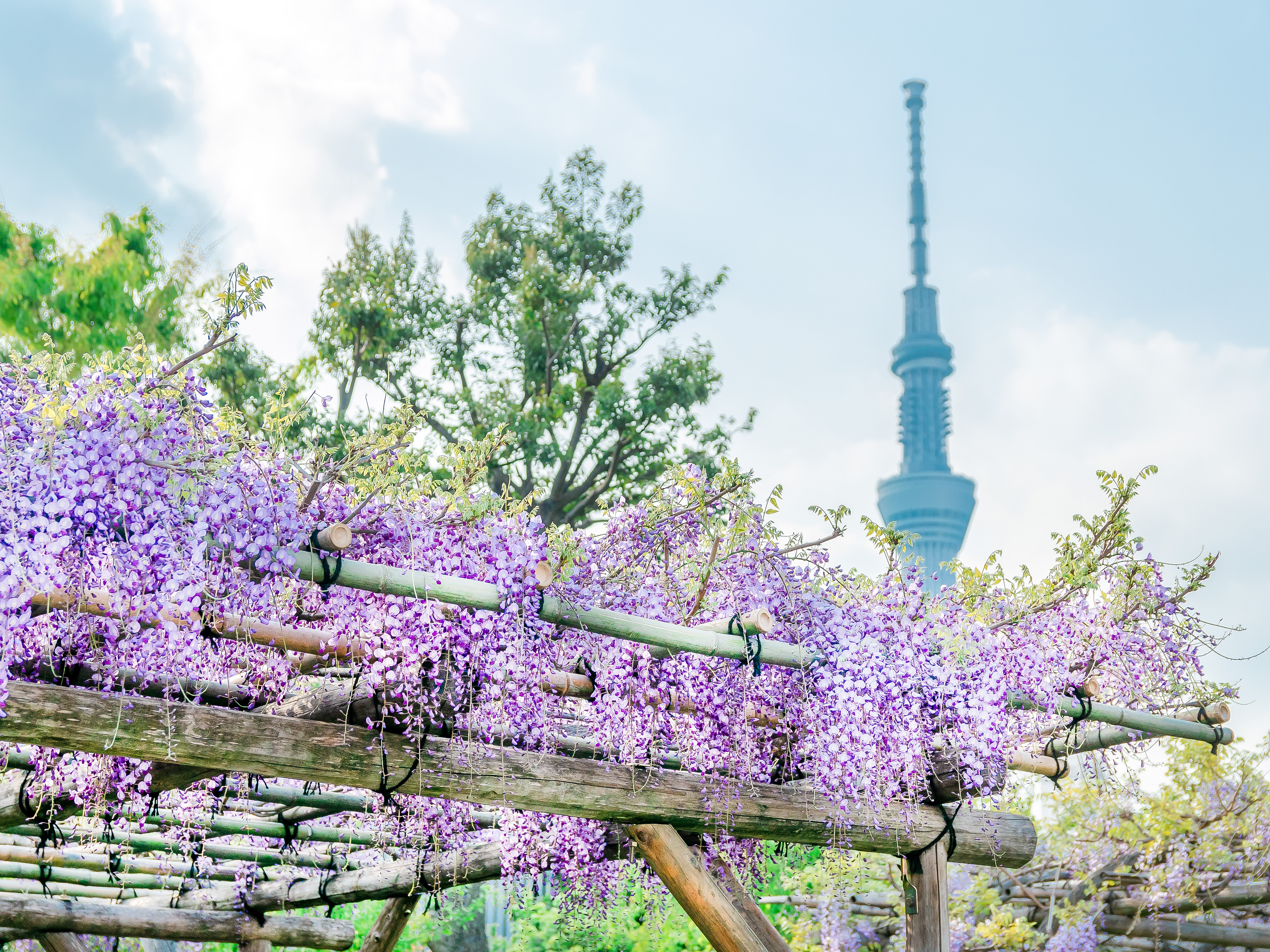 在日部落客推薦7款日系品牌生活好物		