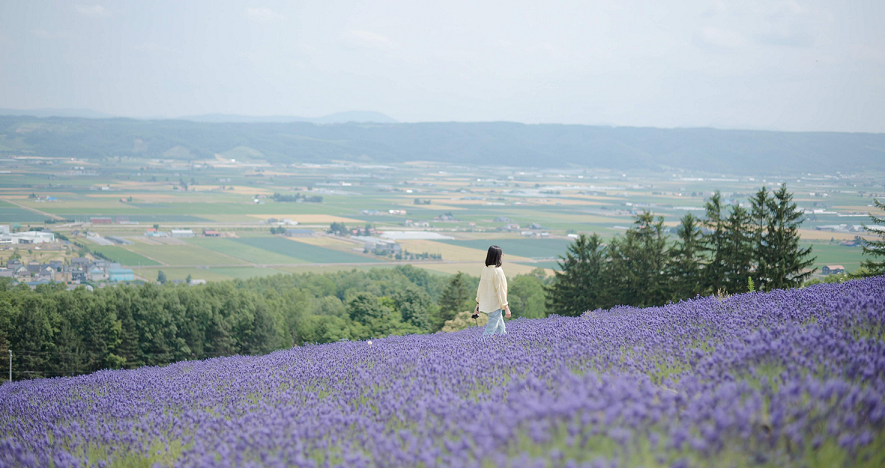 在日經驗者推薦8款北海道必買伴手禮		