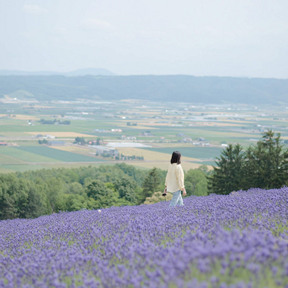 在日經驗者推薦8款北海道必買伴手禮