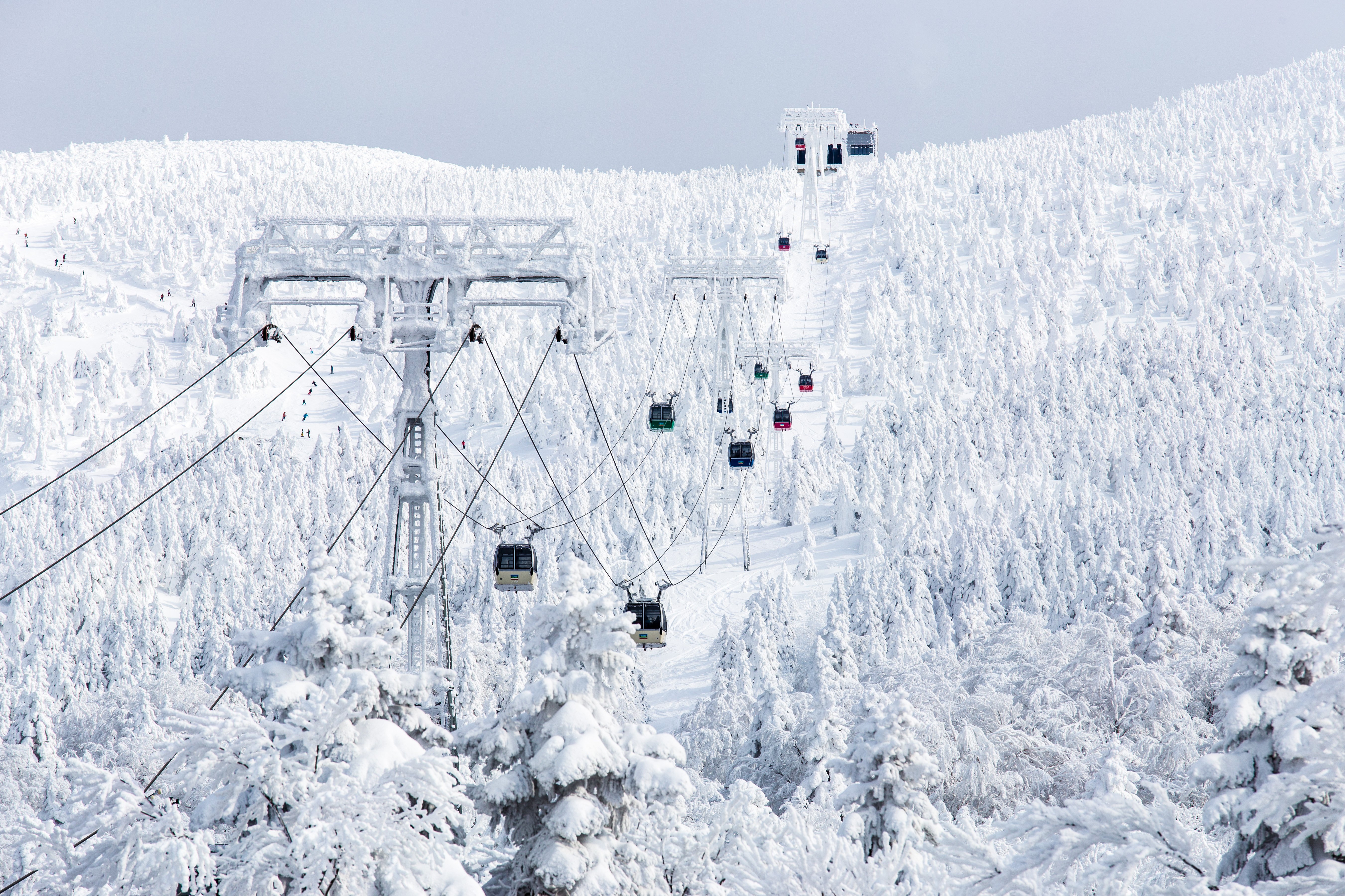 旅遊攝影家推薦6款愛用的日本冬季賞雪必備用品