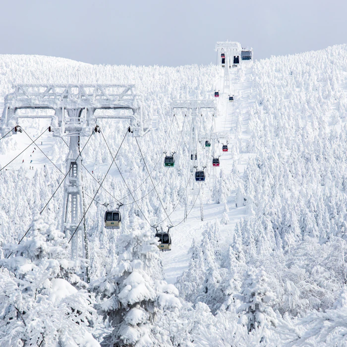 旅遊攝影家推薦6款愛用的日本冬季賞雪必備用品
