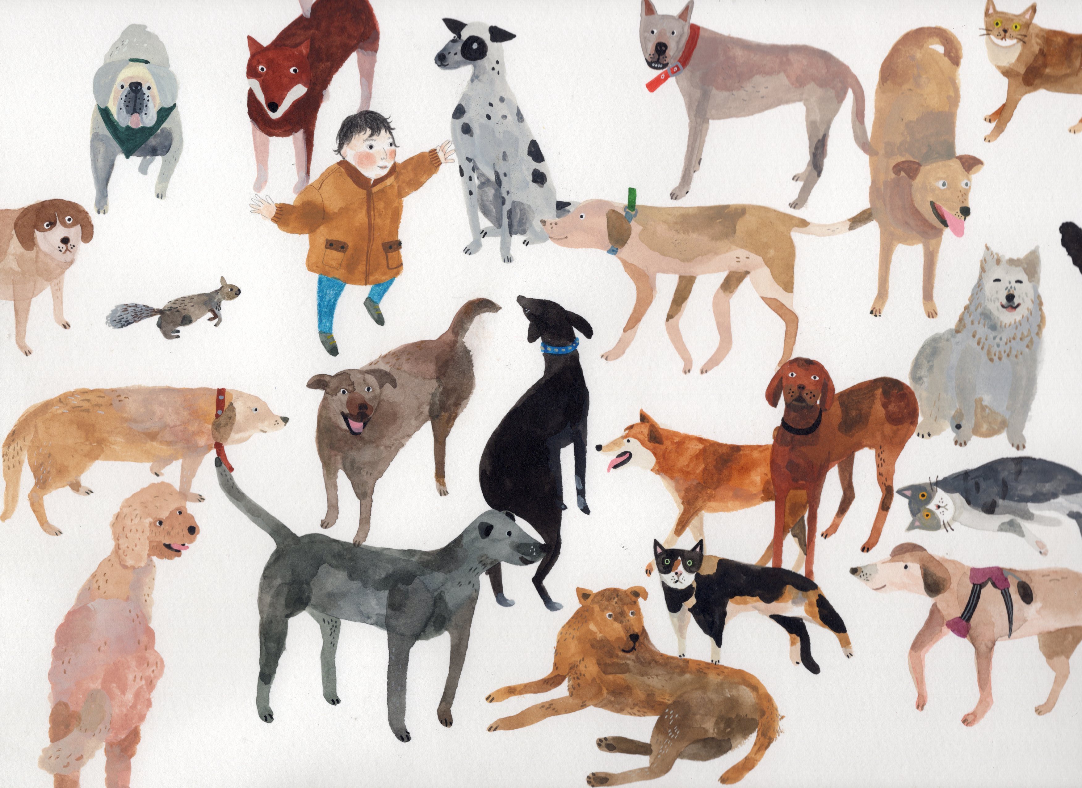 知名繪者推薦7款繪本製作期間愛用用品		