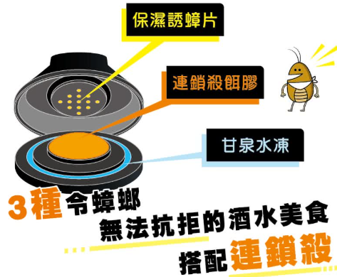 連鎖殺蟑螂套餐堡 2