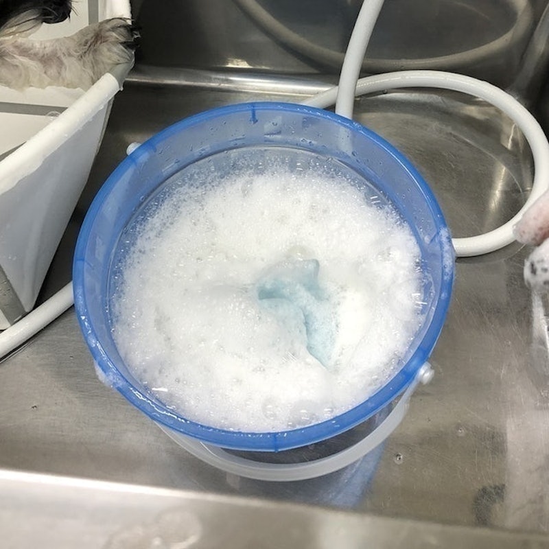 MIFIDO有機犬用洗毛精 7