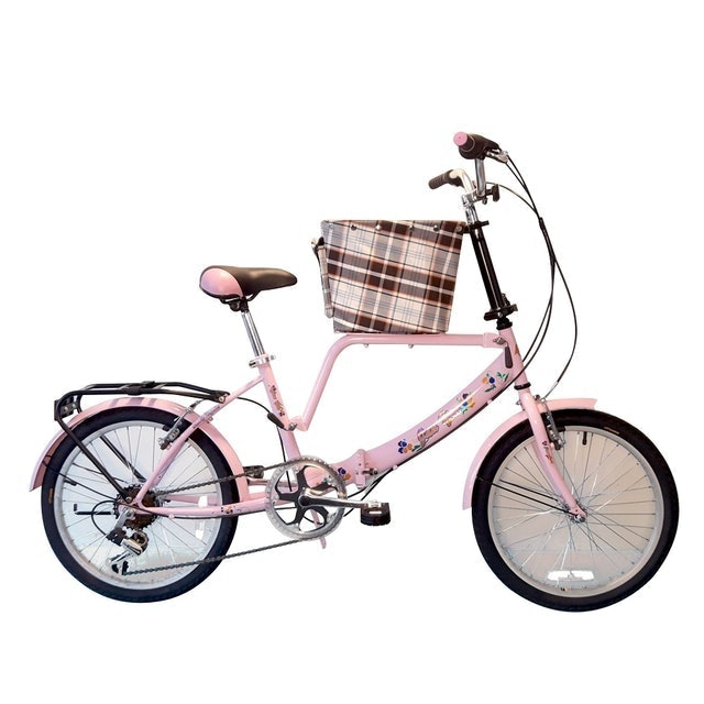 多功能淑女車 1