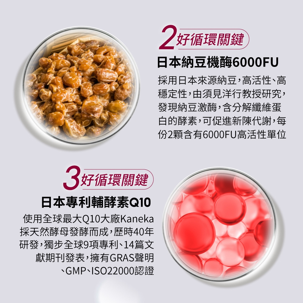 紅麴納豆 Q10 3