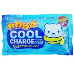 袋裝進口保冷劑