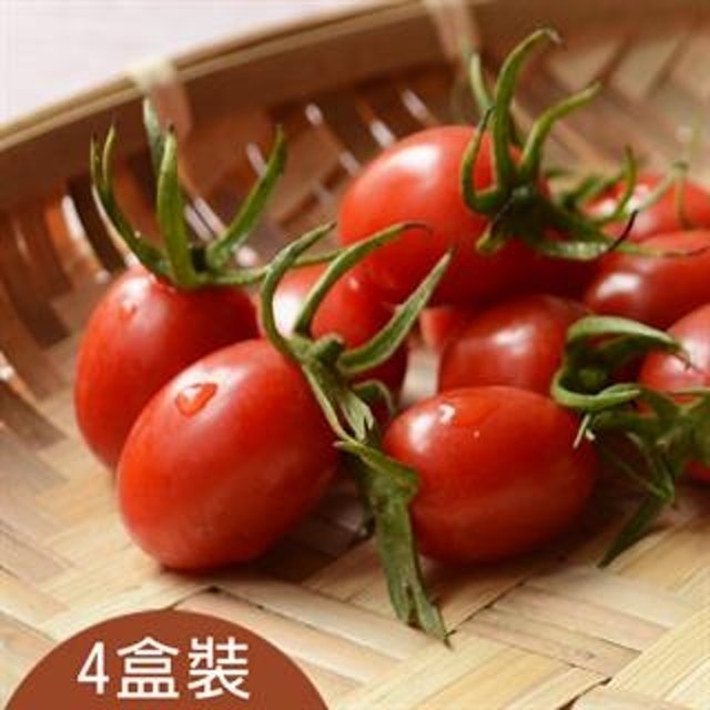 有機玉女小番茄 1