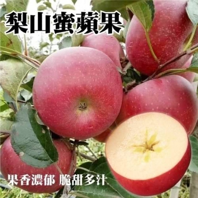 10 大蘋果宅配推薦排行榜 4