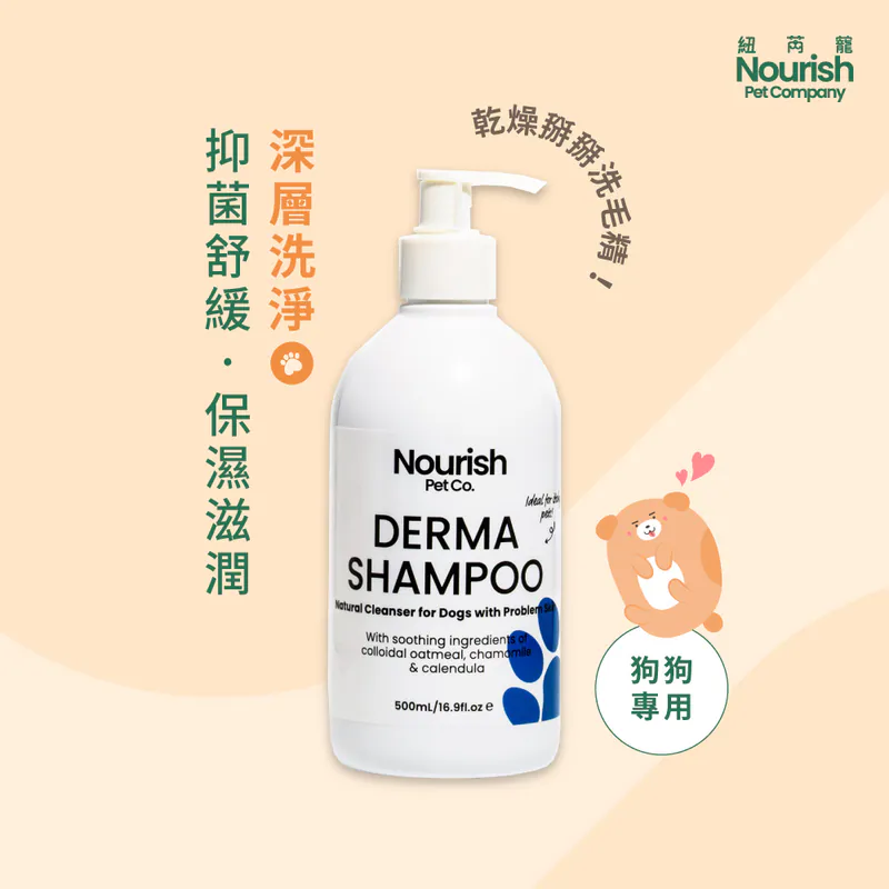乾燥掰掰洗毛精 1