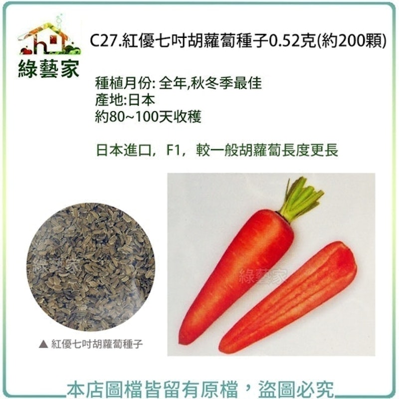 紅優七吋胡蘿蔔種子 1
