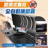 10 大滅鼠推薦排行榜 4