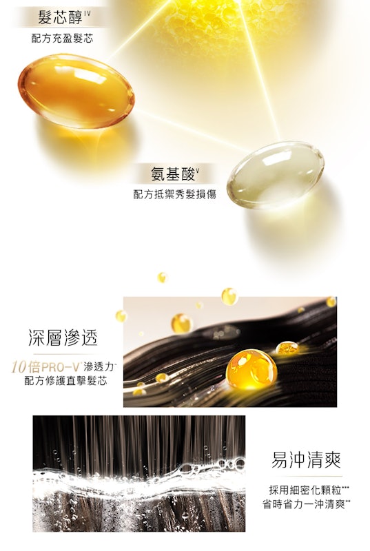 Pro-v 洗髮乳經典款 3