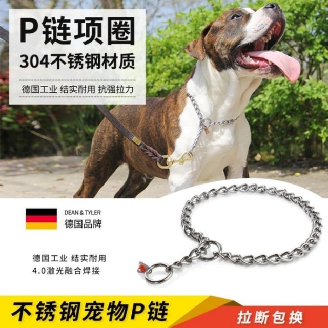 高強度不銹鋼P鏈項圈 1