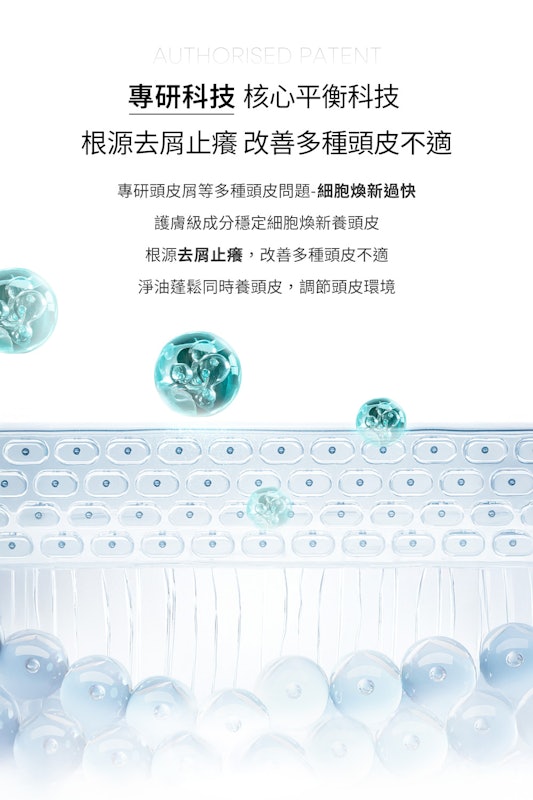 絲漾博長效去屑洗髮精 2