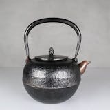 10 大鐵壺推薦排行榜 1