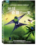 影評人監製10 大兒童電影推薦排行榜 3