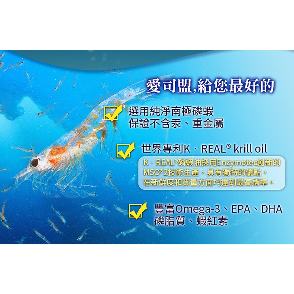 南極磷蝦油軟膠囊 2