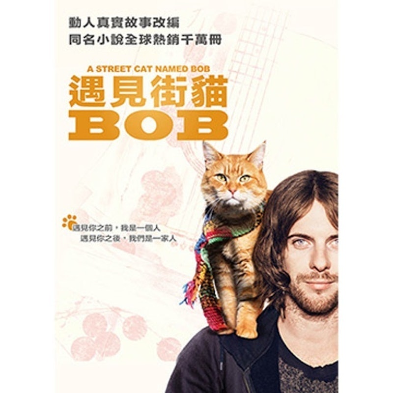 遇見街貓Bob 1