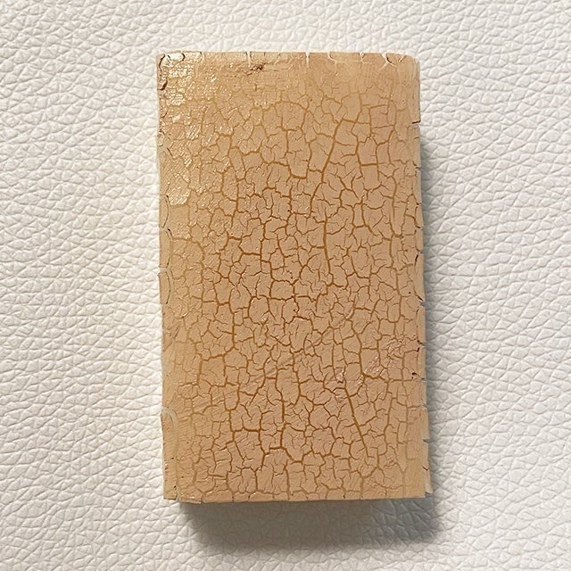 全效秒妝BB霜 6