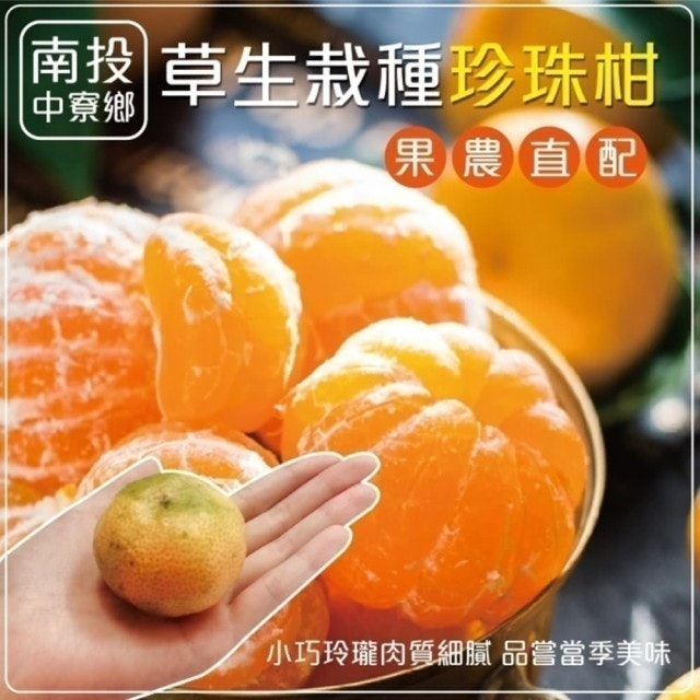 南投草生栽種珍珠柑 1